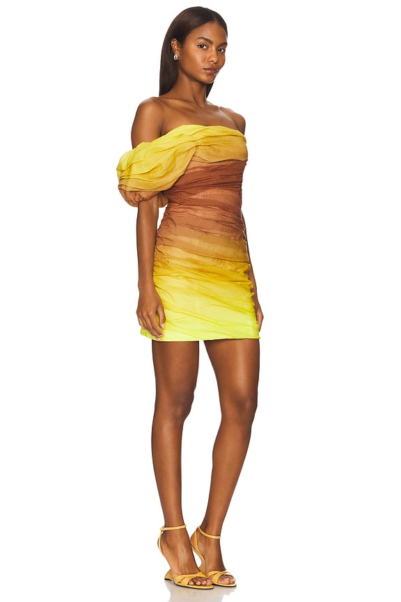 view 2 of 3 Kyler Dress in Chestnut & Yellow