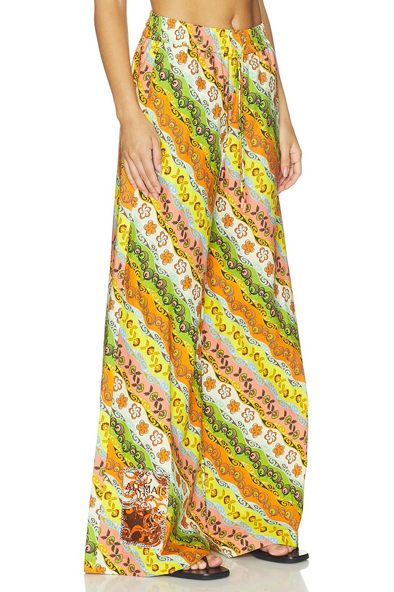 view 2 of 6 Janine Pant in Multi