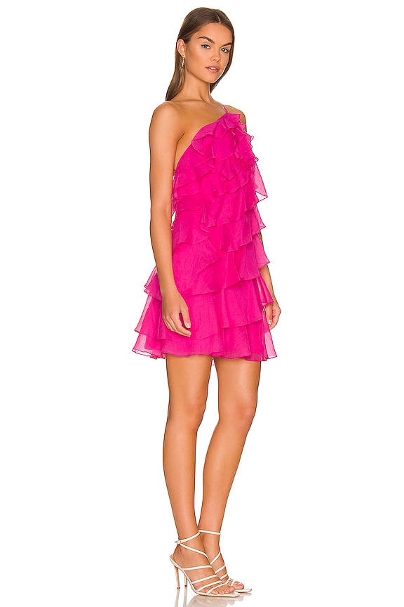 view 2 of 3 Posie Dress in Cerise