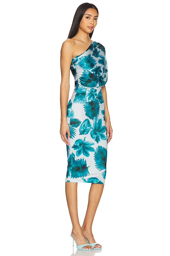 view 2 of 4 Dupree Midi Dress in Palm Print