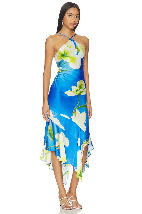 view 2 of 3 Gabriella Midi Dress in Mallorca Print