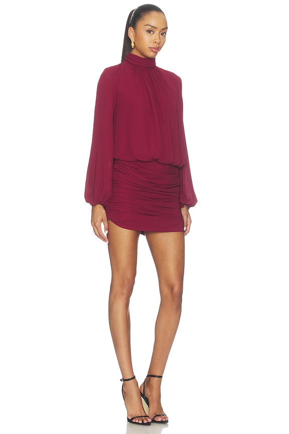 view 2 of 3 Rosy Dress in Burgundy