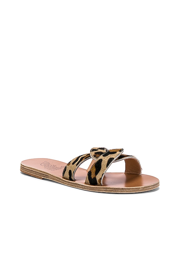 view 2 of 5 Desmos Sandal in Pony Leopard