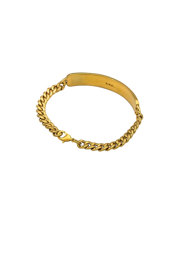 view 2 of 2 Darwin Gourmette Bracelet in Gold