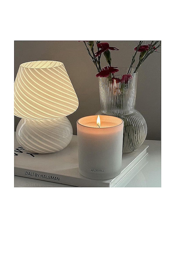 view 2 of 2 Apricot Red Currant Classic Candle in 