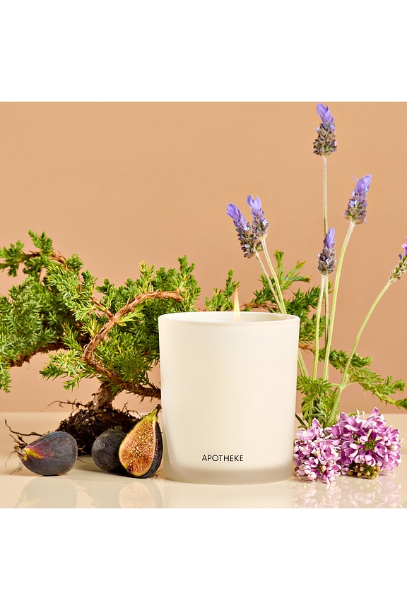 view 2 of 3 Classic Candle in Hinoki Lavender
