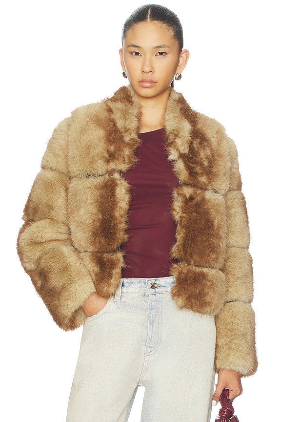 view 1 of 5 Sai Mink Coat in Blonde Mink