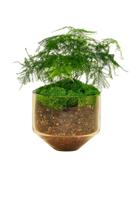 view 2 of 4 Model Three Planter in Amber