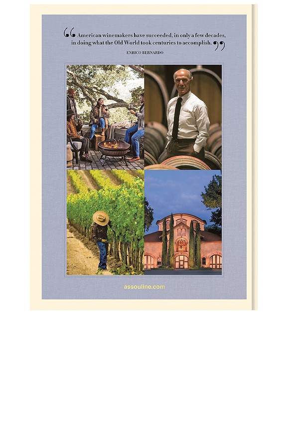 view 2 of 11 Wine & Travel USA in 