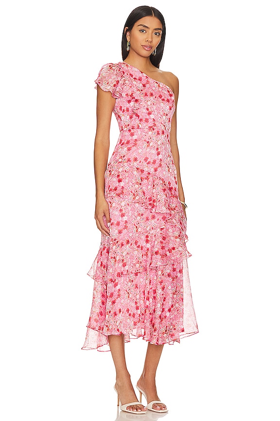 view 2 of 3 Victoriana Dress in Pink & Red Floral