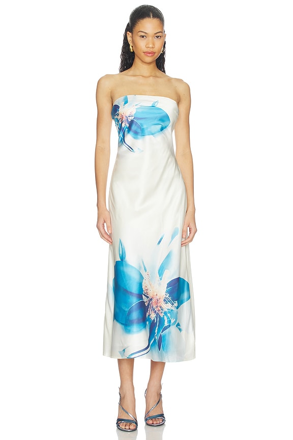 view 1 of 3 Annabeth Dress in Blue Floral