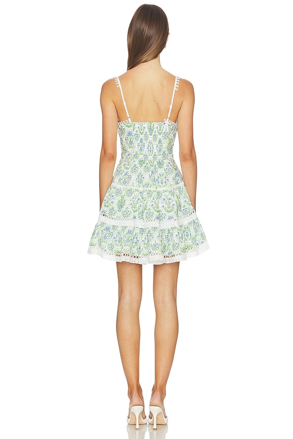 astr green floral mini dress the Label Skye in Blue Victoriana dress