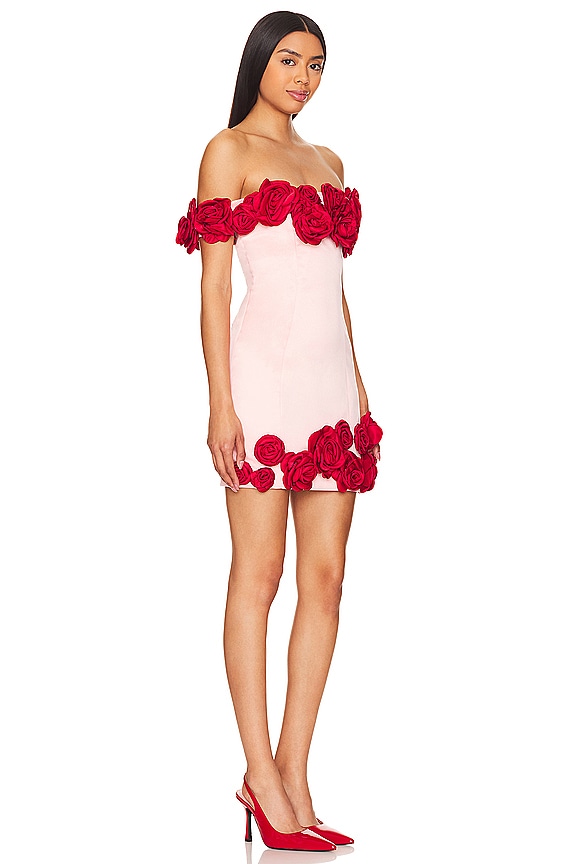 view 2 of 3 The Rosalie Mini Dress in Pink & Red