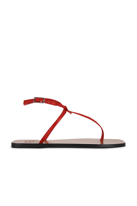 view 1 of 5 Alassio Sandal in Melograno Nappa