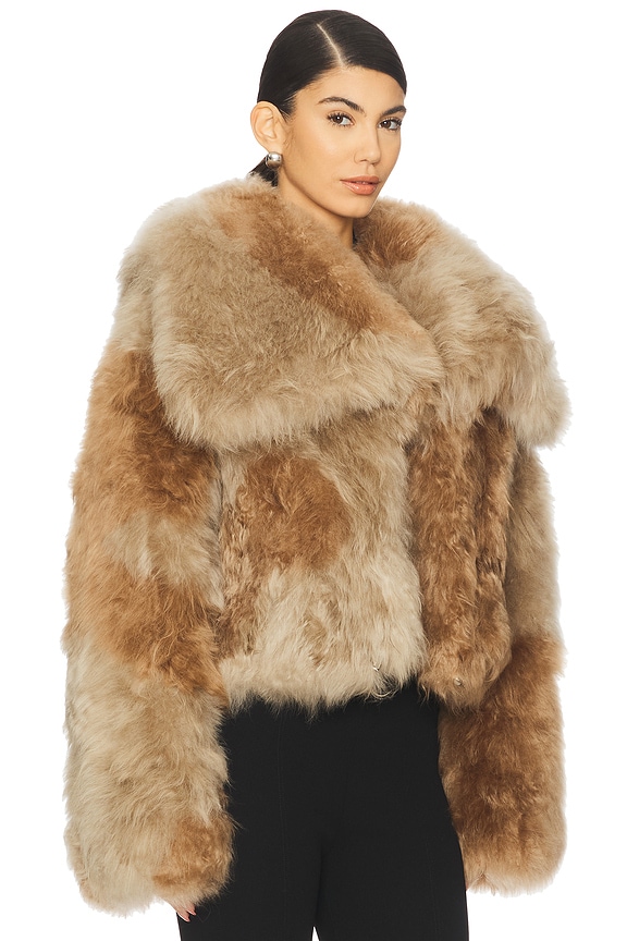 view 2 of 4 BLOUSON in Beige & Sand