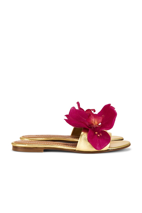 view 2 of 5 Ophelia Sandal in Gold & Pink