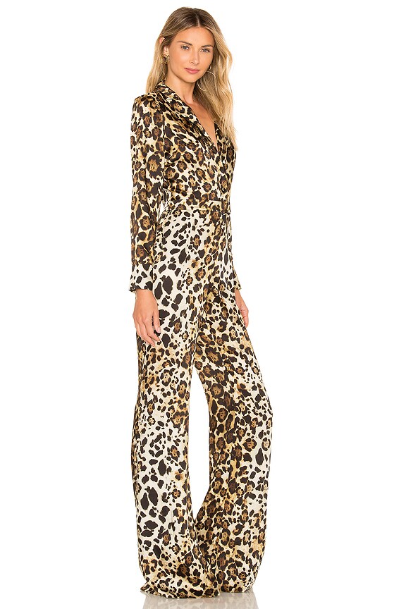 view 2 of 3 Danai Jumpsuit in Animal Print