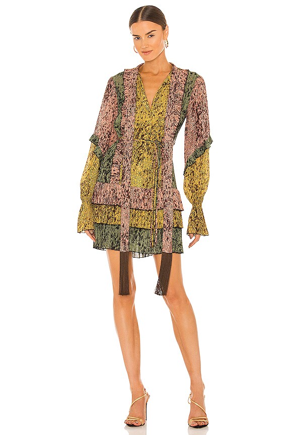 view 1 of 5 Ambar Dress in Amazonia