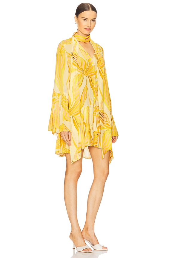 view 2 of 3 Kazan Dress in Amber Lily