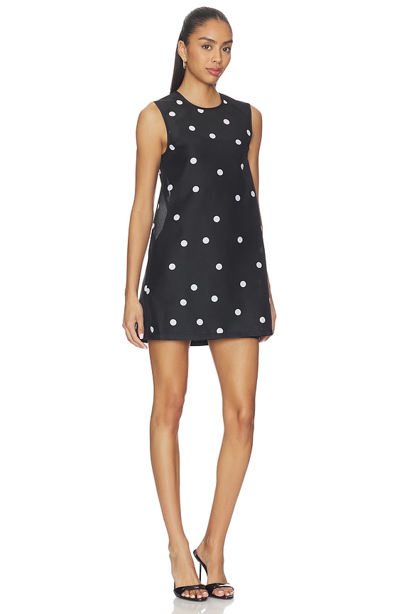 view 2 of 3 Zilez Dress in Black & White