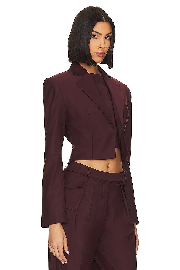 view 2 of 4 Sylva Blazer in Burgundy