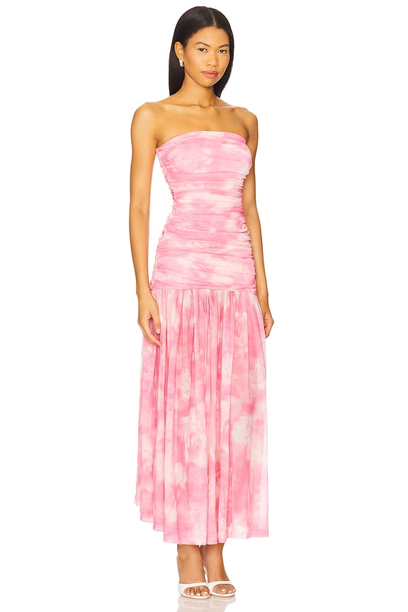 view 2 of 3 Solana Mesh Maxi Dress in Pink Flora