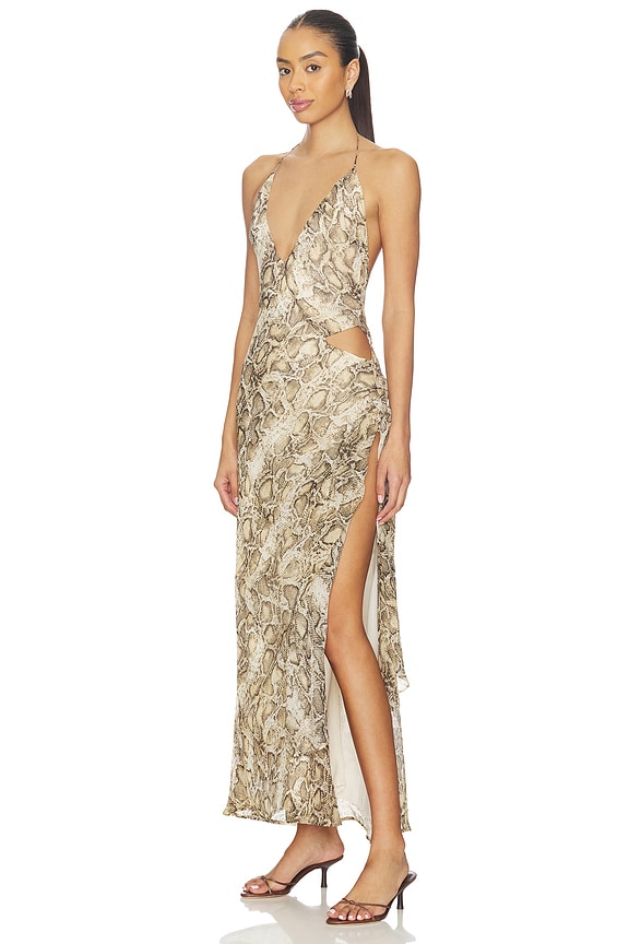 view 2 of 4 Cyrel Printed Maxi Dress in Snake Skin