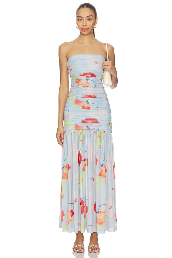 view 1 of 3 Solana Printed Mesh Maxi Dress in Baby Blue Floral