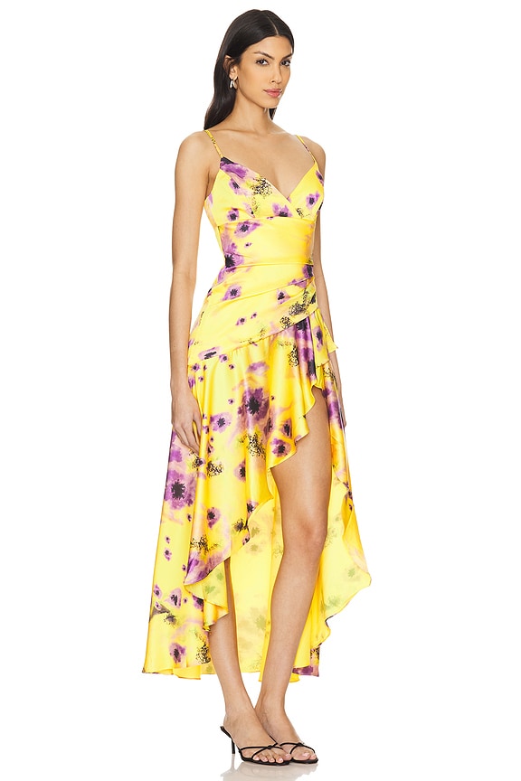 view 2 of 3 Sorella Printed Midi Dress in Yellow Floral