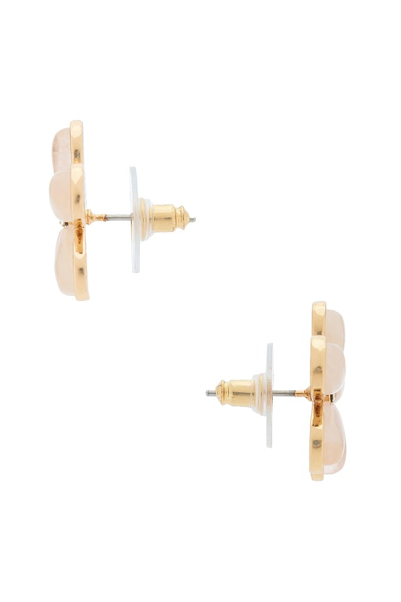 view 2 of 2 BOUCLES D'OREILLES RESIN in Blush