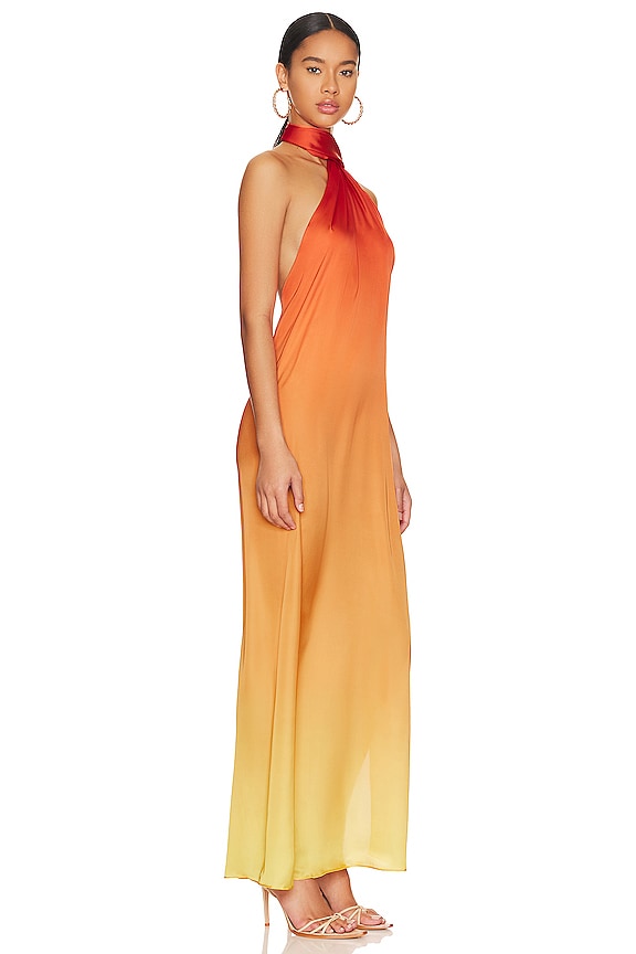 view 2 of 3 Ari Maxi Dress in Vida