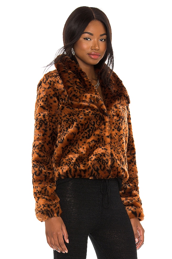 view 2 of 4 Leopard Queen Jacket in Rust