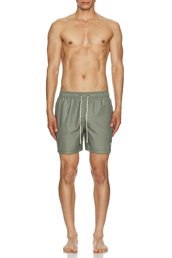 view 6 of 6 Shell Swim Short in Olive