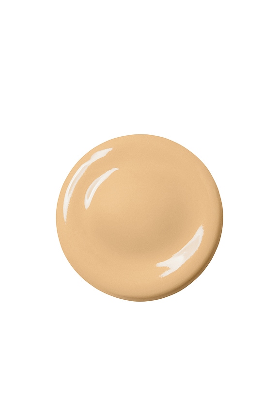 view 2 of 10 THE POREFESSIONAL FOUNDATION 파운데이션 in 11w Excellence