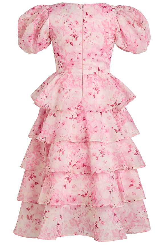 view 2 of 7 Lenny Maxi Dress in Pink Floral