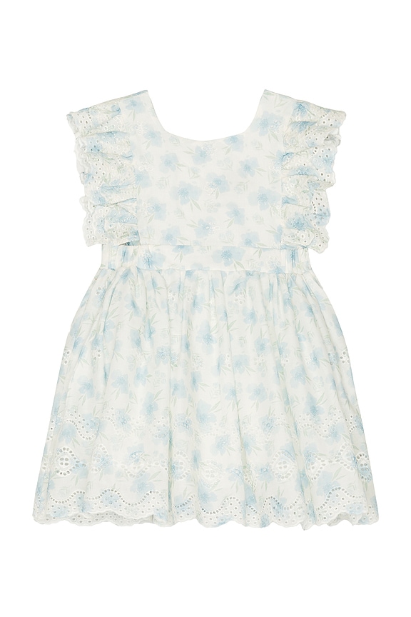 view 1 of 2 Annie Floral Mini Dress in Blue Floral