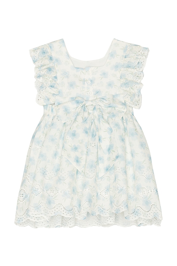 view 2 of 2 Annie Floral Mini Dress in Blue Floral