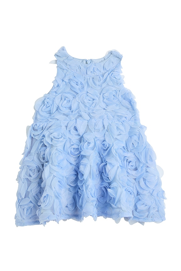 view 1 of 6 Pia Rosette Dress in Blue