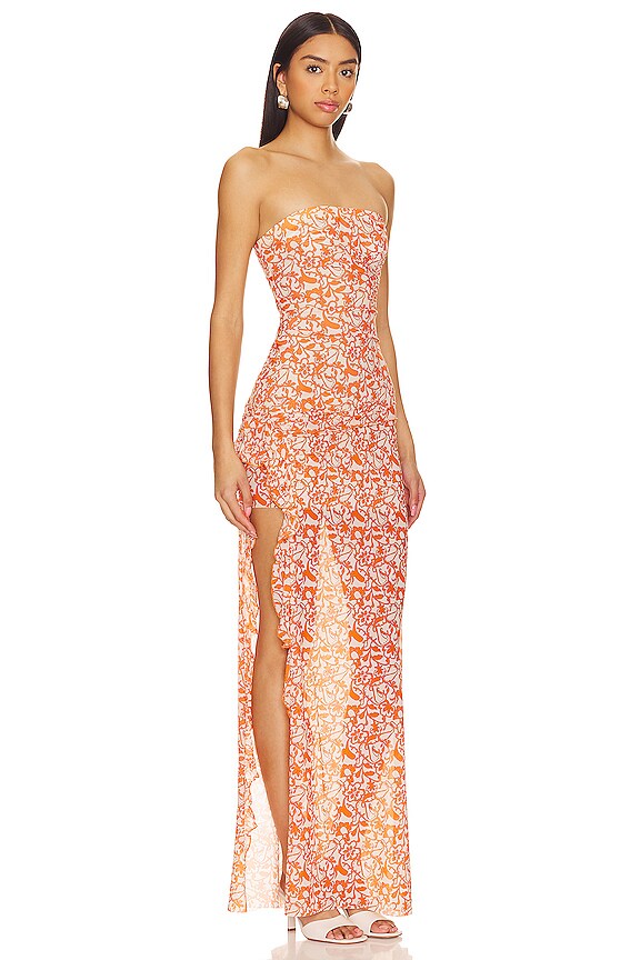 view 2 of 3 Firefly Strapless Dress in Fiesta Floral