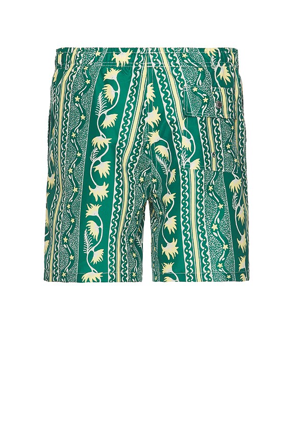 view 2 of 3 Botanical Stripe Swim Trunk in Basil