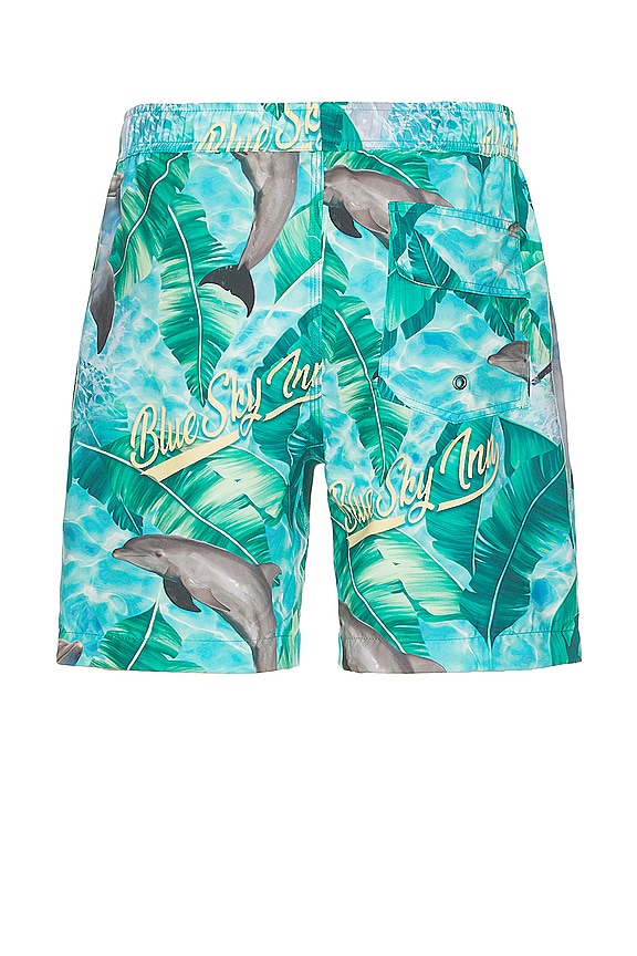 view 2 of 3 Dolphin Swim Trunks in Blue