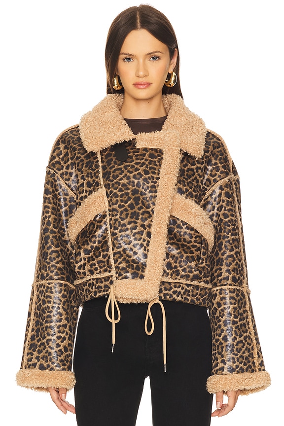 view 2 of 5 Bonded Moto Jacket in in In The Shadows