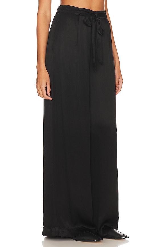 view 2 of 4 Pleat Front Wide Leg Pants in Black