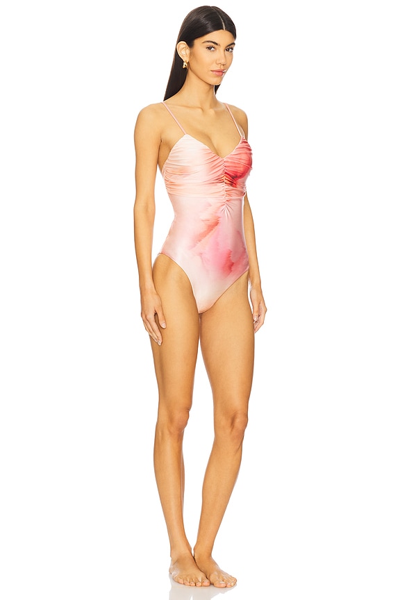 view 2 of 4 Fibi One Piece Swimsuit in Flora