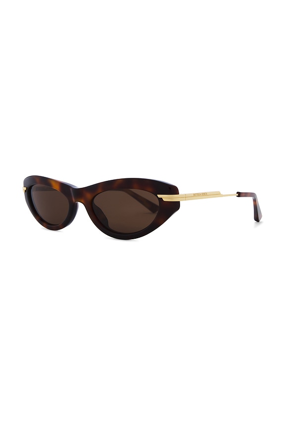 view 2 of 3 Oval Sunglasses in Havana, Gold, & Brown