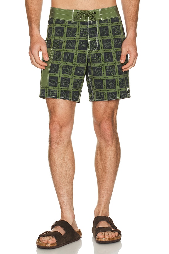 view 1 of 4 BAÑADOR in Barb Wire & Sea Kelp