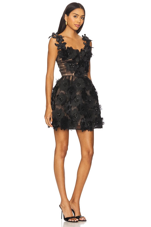 view 2 of 4 Rosalie Noir Mini Dress in Black