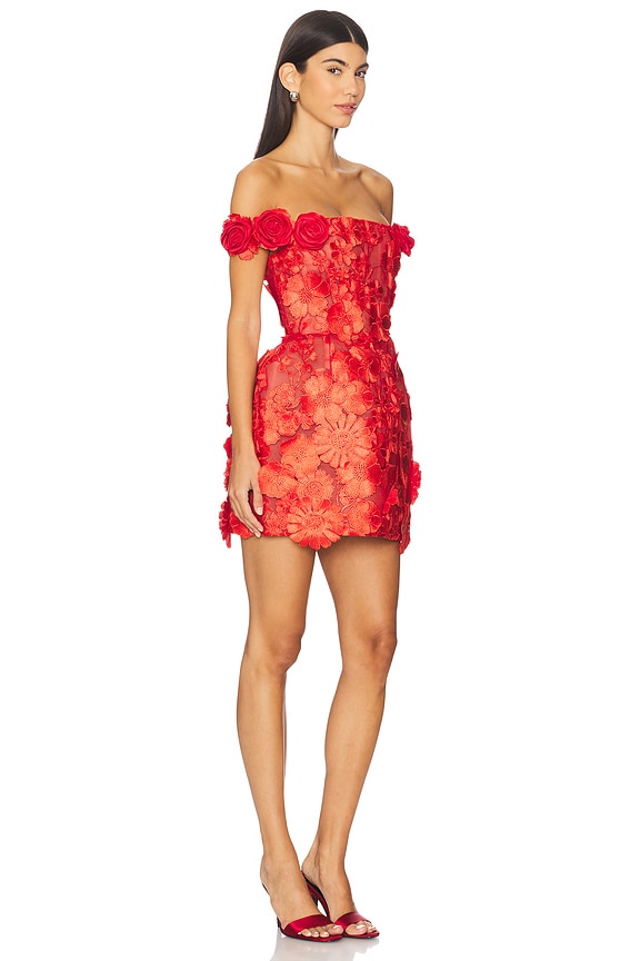 view 2 of 3 Jasmine Maraya Mini Dress in Red