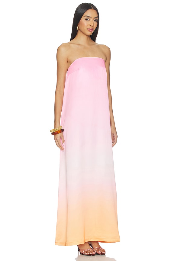 view 2 of 3 Lily Maxi Dress in Tropical