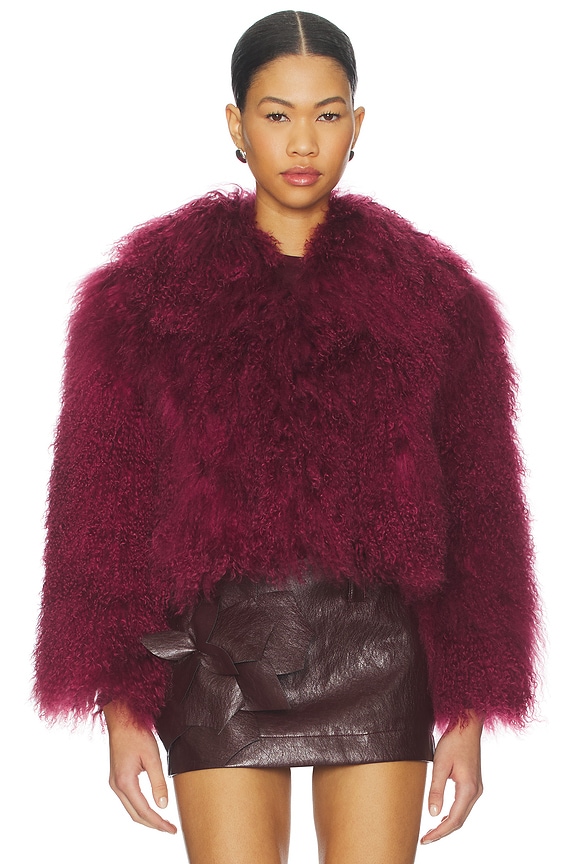 view 2 of 5 Georgina Jacket in Cherry